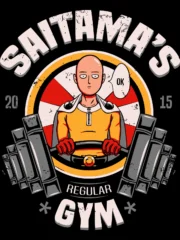Saitama's Gym - Image 2